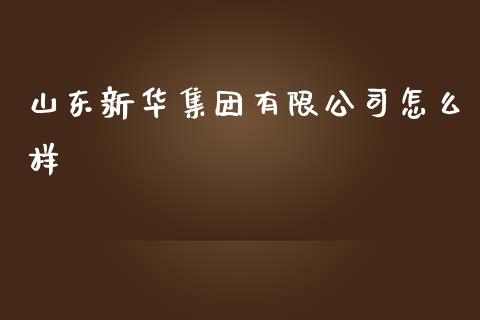 山东新华集团有限公司怎么样_https://wap.fcdydaikuan.com_新股数据_第1张
