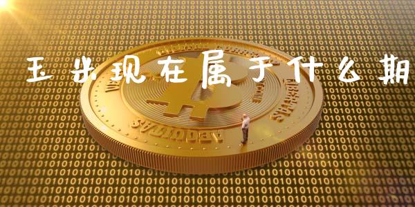 玉米现在属于什么期_https://wap.fcdydaikuan.com_金融机构_第1张