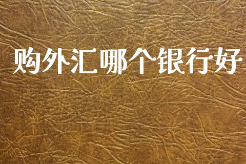 购外汇哪个银行好_https://wap.fcdydaikuan.com_金融机构_第1张