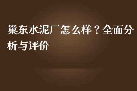 巢东水泥厂怎么样？全面分析与评价_https://wap.fcdydaikuan.com_期货品种_第1张