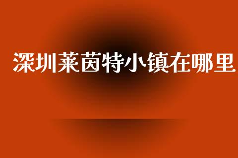 深圳莱茵特小镇在哪里_https://wap.fcdydaikuan.com_期货品种_第1张