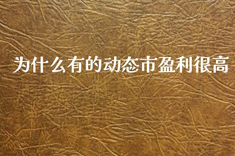 为什么有的动态市盈利很高_https://wap.fcdydaikuan.com_新股数据_第1张