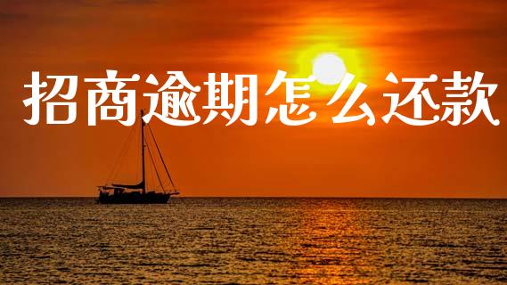 招商逾期怎么还款_https://wap.fcdydaikuan.com_新股数据_第1张