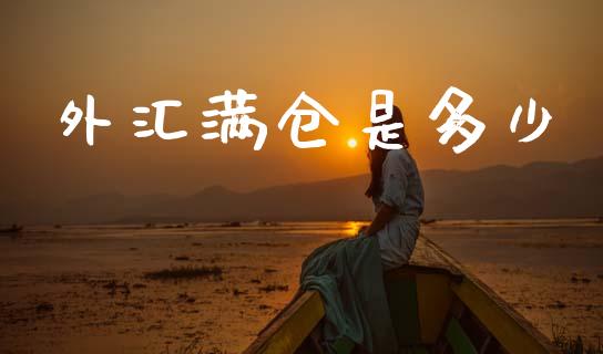 外汇满仓是多少_https://wap.fcdydaikuan.com_国际投资_第1张