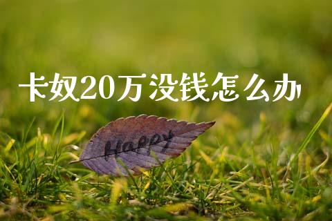 卡奴20万没钱怎么办_https://wap.fcdydaikuan.com_金融机构_第1张