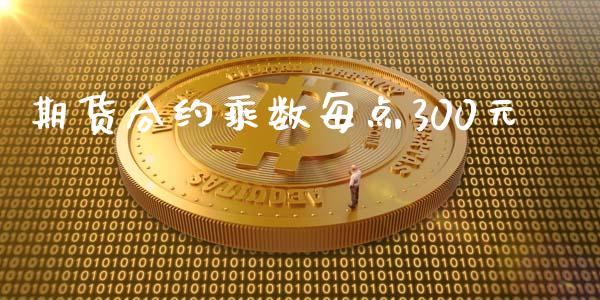 期货合约乘数每点300元_https://wap.fcdydaikuan.com_国际投资_第1张