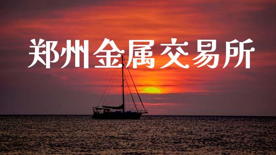 郑州金属交易所_https://wap.fcdydaikuan.com_新股数据_第1张