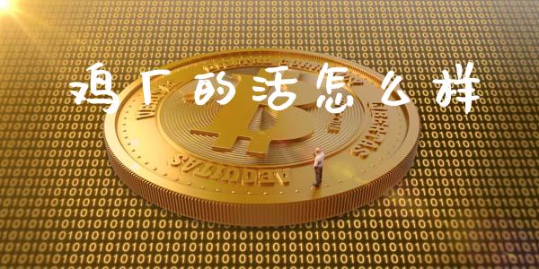 鸡厂的活怎么样_https://wap.fcdydaikuan.com_理财顾问_第1张