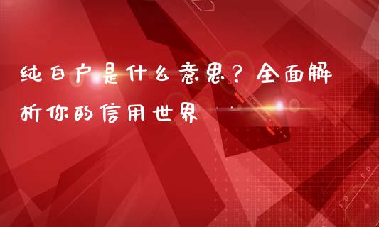 纯白户是什么意思？全面解析你的信用世界_https://wap.fcdydaikuan.com_金融机构_第1张