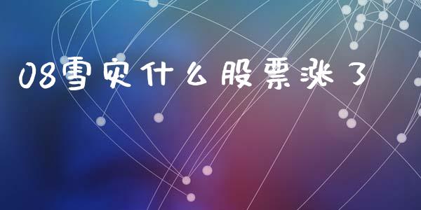 08雪灾什么股票涨了_https://wap.fcdydaikuan.com_投资策略_第1张
