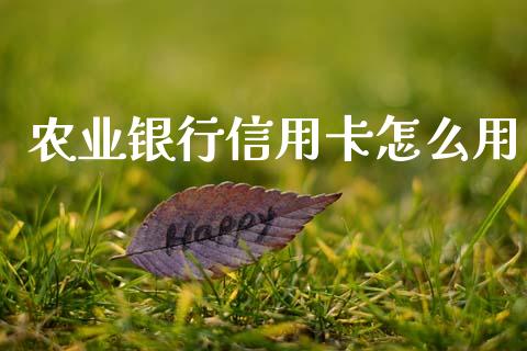 农业银行信用卡怎么用_https://wap.fcdydaikuan.com_金融机构_第1张
