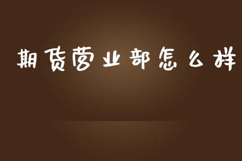 期货营业部怎么样_https://wap.fcdydaikuan.com_国际投资_第1张