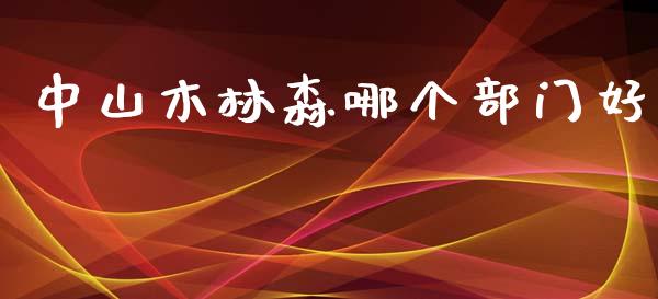 中山木林森哪个部门好_https://wap.fcdydaikuan.com_理财顾问_第1张