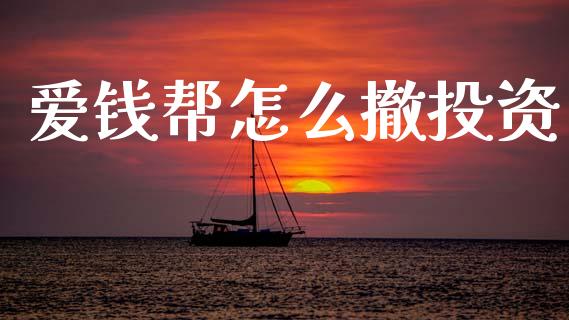 爱钱帮怎么撤投资_https://wap.fcdydaikuan.com_理财顾问_第1张