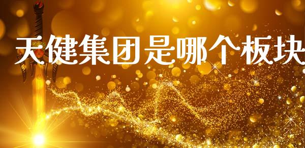 天健集团是哪个板块_https://wap.fcdydaikuan.com_国际投资_第1张