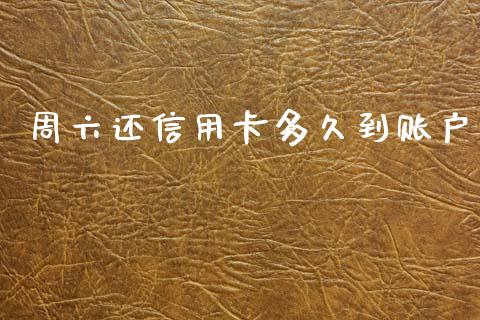 周六还信用卡多久到账户_https://wap.fcdydaikuan.com_投资策略_第1张