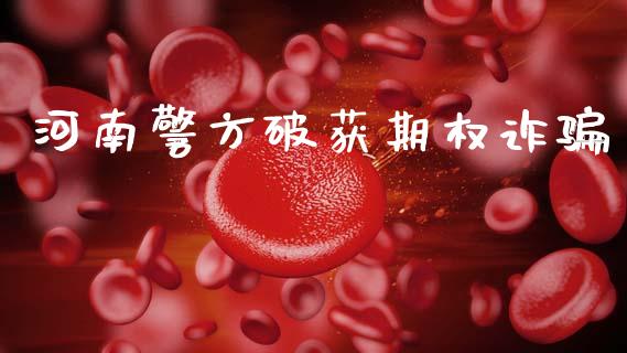 河南警方破获期权诈骗_https://wap.fcdydaikuan.com_新股数据_第1张