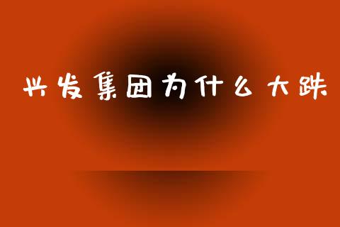 兴发集团为什么大跌_https://wap.fcdydaikuan.com_期货品种_第1张