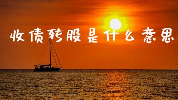 收债转股是什么意思_https://wap.fcdydaikuan.com_理财顾问_第1张