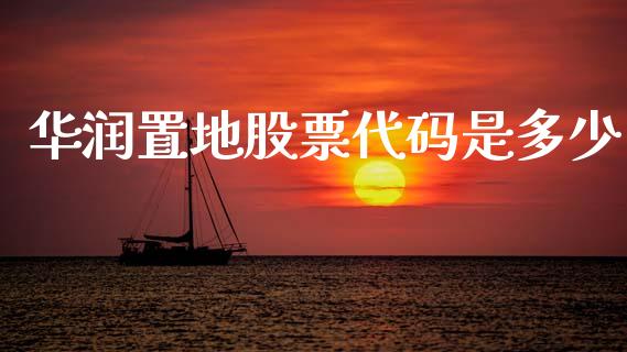 华润置地股票代码是多少_https://wap.fcdydaikuan.com_新股数据_第1张
