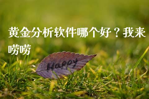 黄金分析软件哪个好？我来唠唠_https://wap.fcdydaikuan.com_理财顾问_第1张