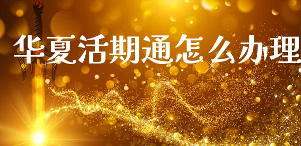 华夏活期通怎么办理_https://wap.fcdydaikuan.com_投资策略_第1张