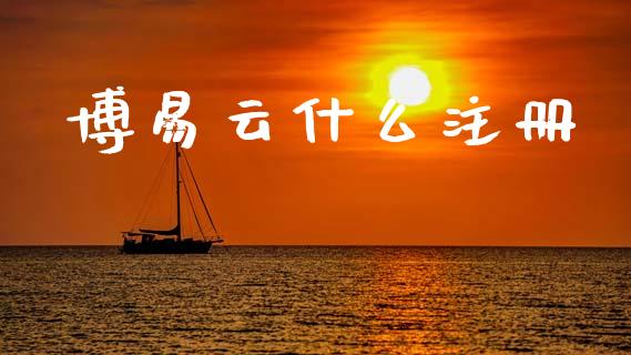 博易云什么注册_https://wap.fcdydaikuan.com_新股数据_第1张