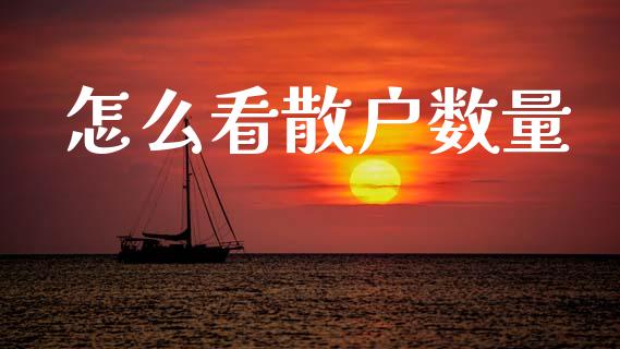 怎么看散户数量_https://wap.fcdydaikuan.com_新股数据_第1张