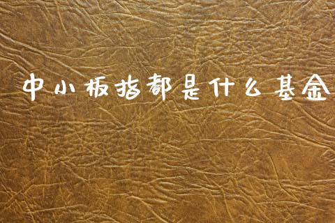 中小板指都是什么基金_https://wap.fcdydaikuan.com_期货品种_第1张
