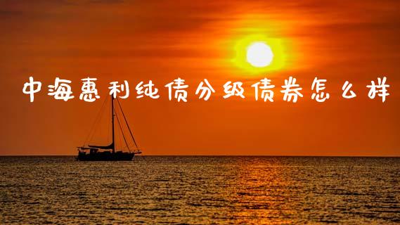 中海惠利纯债分级债券怎么样_https://wap.fcdydaikuan.com_新股数据_第1张