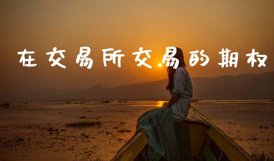 在交易所交易的期权_https://wap.fcdydaikuan.com_投资策略_第1张