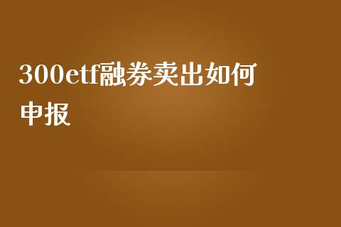 300etf融券卖出如何申报_https://wap.fcdydaikuan.com_理财顾问_第1张
