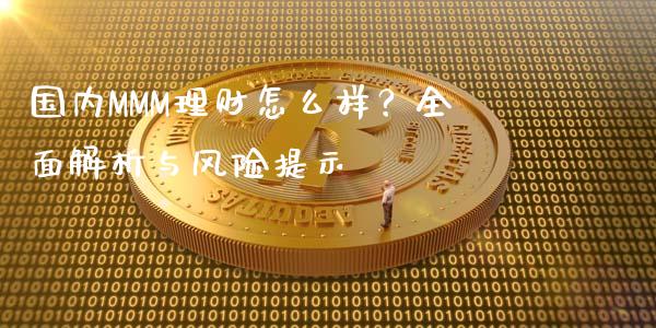 国内MMM理财怎么样？全面解析与风险提示_https://wap.fcdydaikuan.com_新股数据_第1张