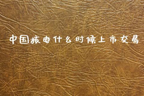 中国核电什么时候上市交易_https://wap.fcdydaikuan.com_金融机构_第1张