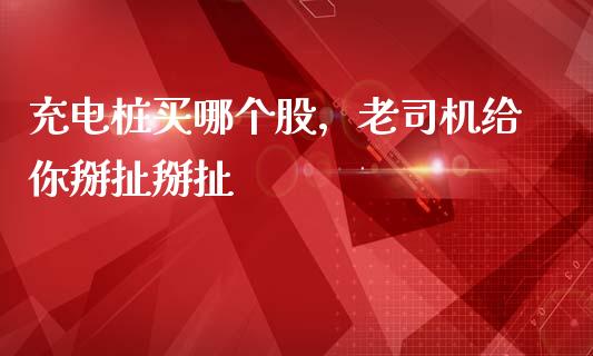 充电桩买哪个股，老司机给你掰扯掰扯_https://wap.fcdydaikuan.com_国际投资_第1张