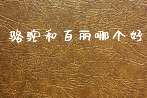 骆驼和百丽哪个好_期货品种_第1张_国际投资_理财顾问_投资策略_金融机构 骆驼和百丽哪个好_https://wap.fcdydaikuan.com_期货品种_第1张