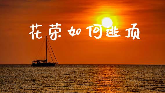 花荣如何逃顶_https://wap.fcdydaikuan.com_期货品种_第1张