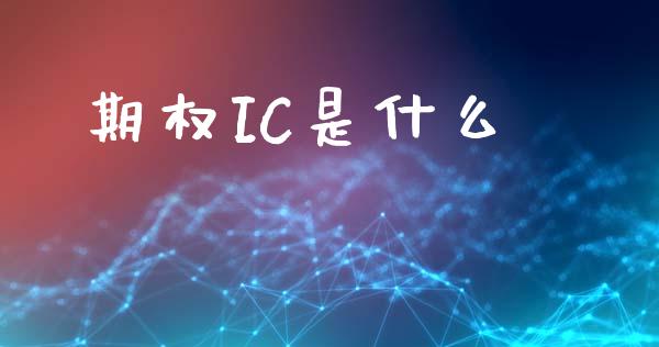期权IC是什么_https://wap.fcdydaikuan.com_期货品种_第1张