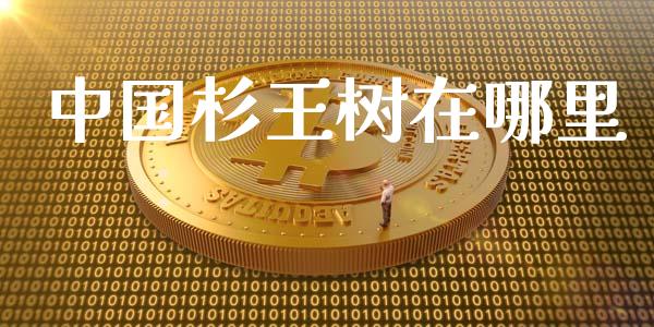 中国杉王树在哪里_https://wap.fcdydaikuan.com_金融机构_第1张