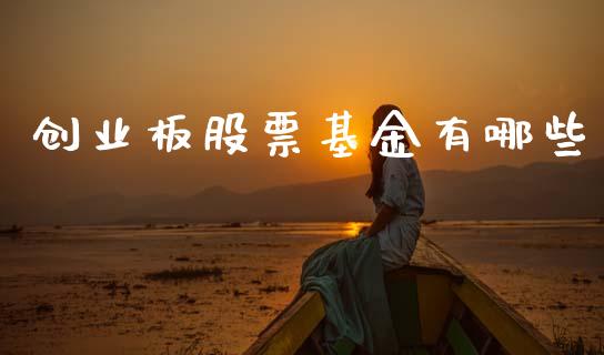 创业板股票基金有哪些_https://wap.fcdydaikuan.com_期货品种_第1张