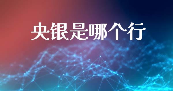 央银是哪个行_https://wap.fcdydaikuan.com_期货品种_第1张