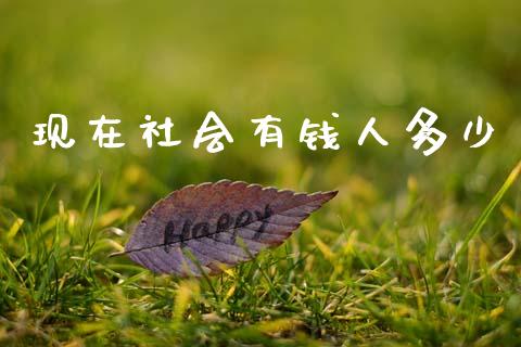 现在社会有钱人多少_https://wap.fcdydaikuan.com_金融机构_第1张