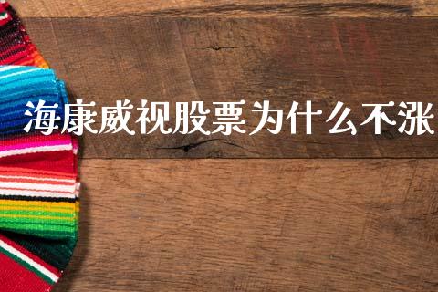 海康威视股票为什么不涨_https://wap.fcdydaikuan.com_新股数据_第1张