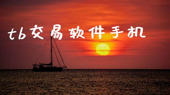 tb交易软件手机_https://wap.fcdydaikuan.com_新股数据_第1张