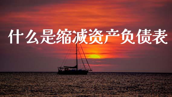 什么是缩减资产负债表_https://wap.fcdydaikuan.com_理财顾问_第1张