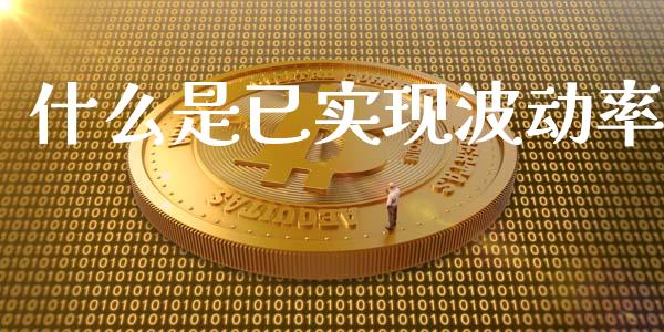 什么是已实现波动率_https://wap.fcdydaikuan.com_期货品种_第1张