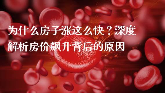为什么房子涨这么快？深度解析房价飙升背后的原因_https://wap.fcdydaikuan.com_国际投资_第1张