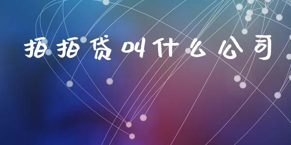 拍拍贷叫什么公司_https://wap.fcdydaikuan.com_投资策略_第1张