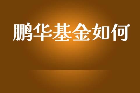 鹏华基金如何_https://wap.fcdydaikuan.com_国际投资_第1张