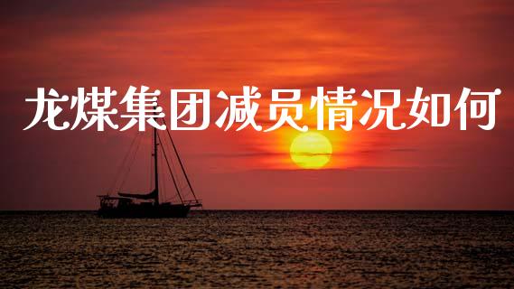 龙煤集团减员情况如何_https://wap.fcdydaikuan.com_期货品种_第1张